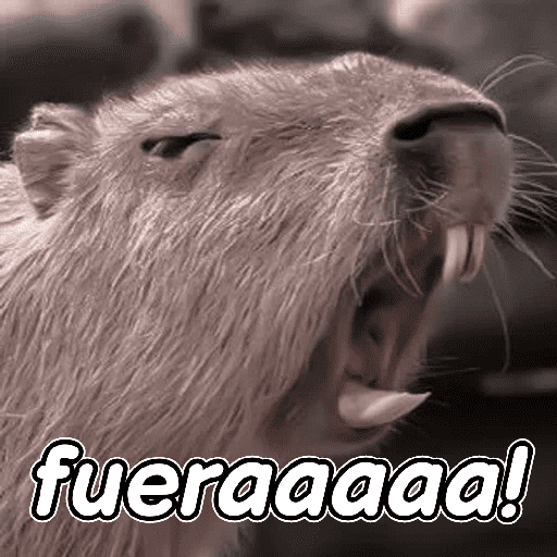 capibara 😎 preview