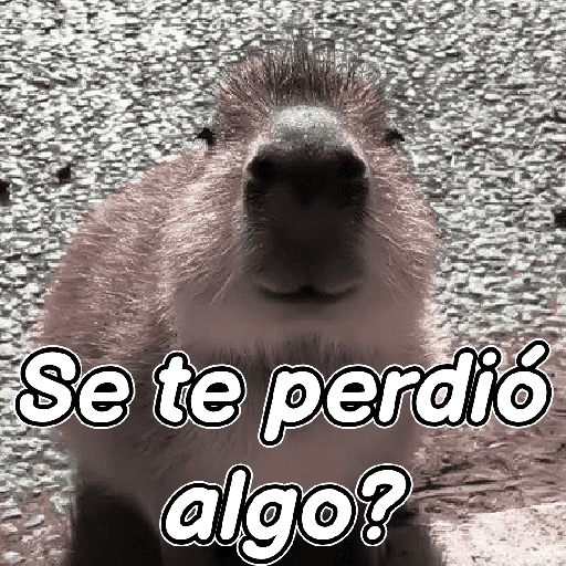 capibara 😎 preview