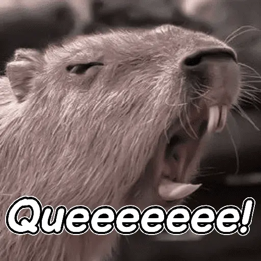 capibara 😎