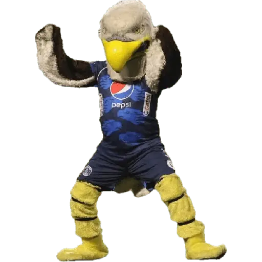 Memes Futbol