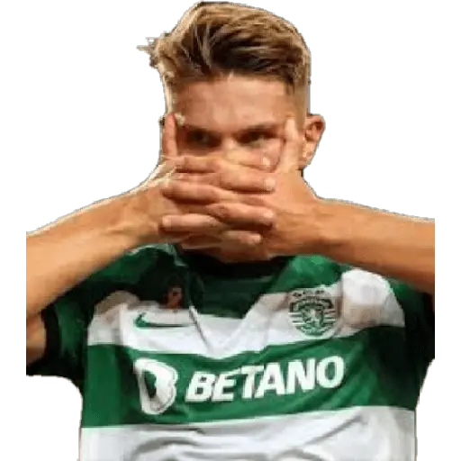 Memes Futbol