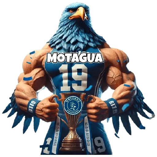 Memes Futbol