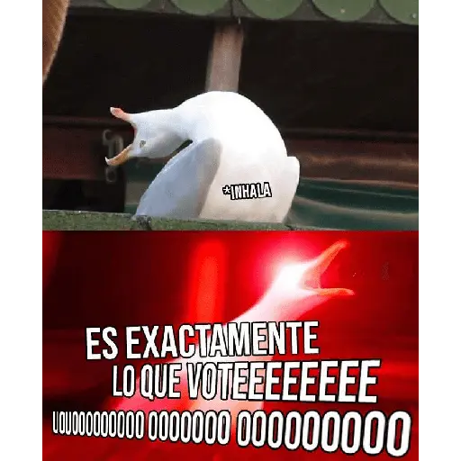 Argentina no lo entenderias