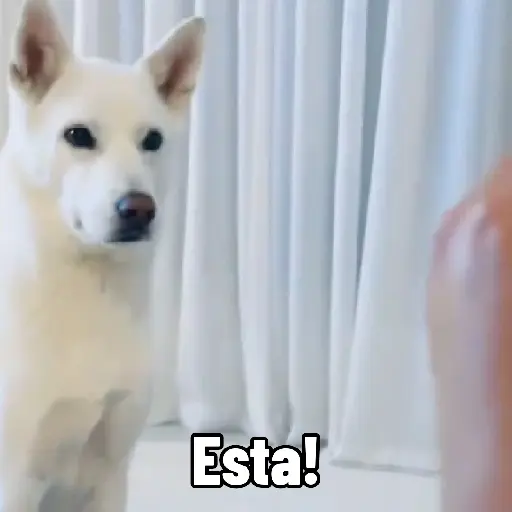 Cuál Exprimo? preview