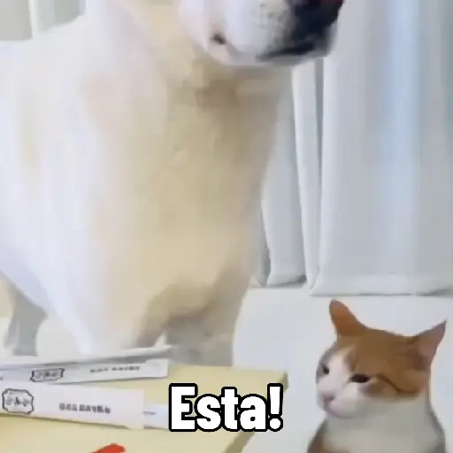 Cuál Exprimo?