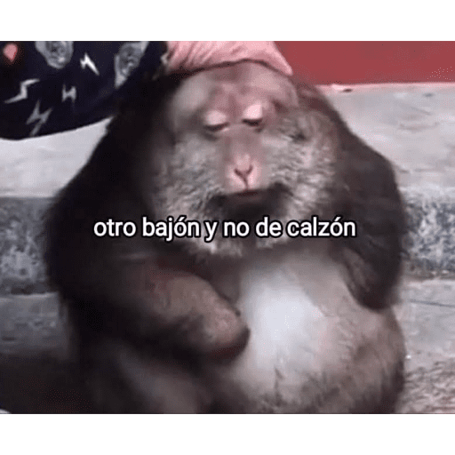 Memes nuevos preview