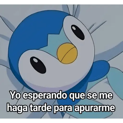 Memes nuevos