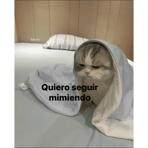 Memes nuevos
