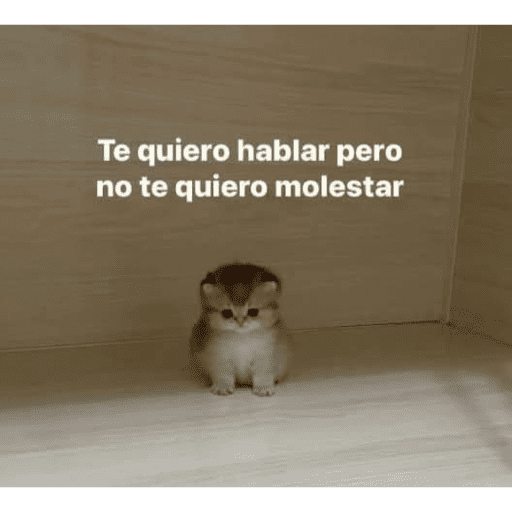 Memes nuevos preview