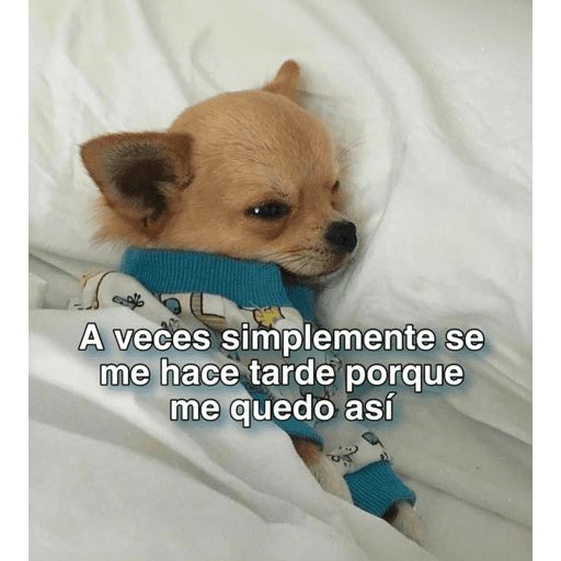 Memes nuevos preview
