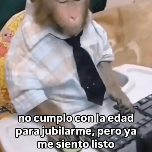 Memes nuevos