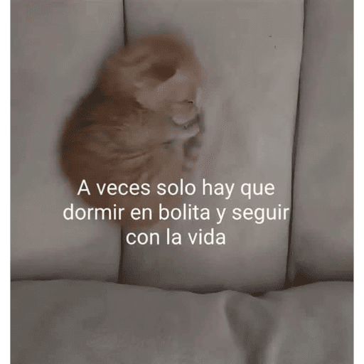 Memes nuevos preview