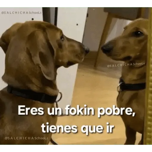 Memes nuevos