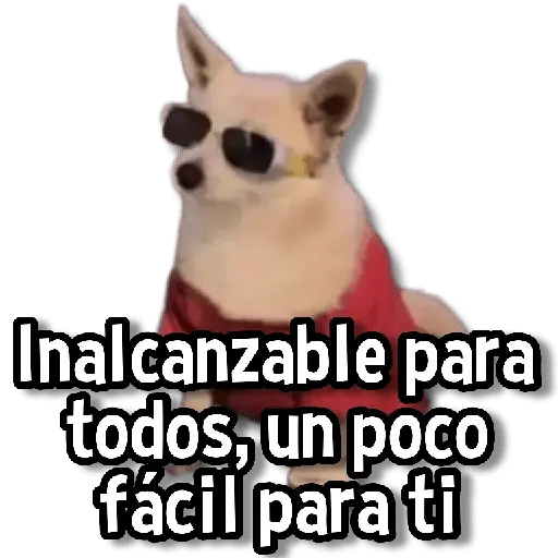 Memes Clásicos 1.0😏💕