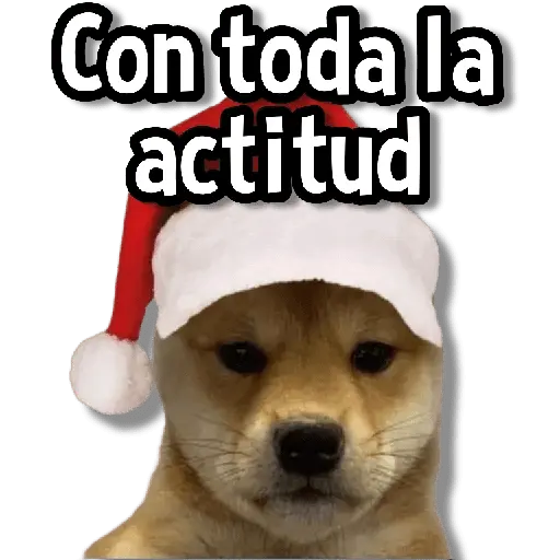 Memes Clásicos 1.0😏💕