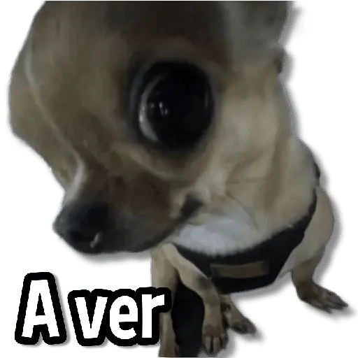 Memes Clásicos 1.0😏💕
