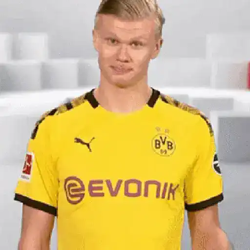 Fútbol