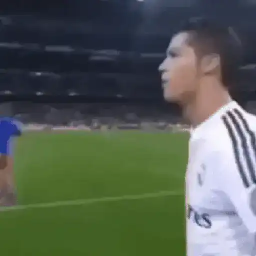Fútbol