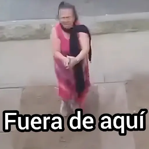 👵🏻 Abuelita sicaria Carlota2️⃣🔫