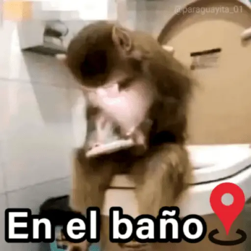 🐵🌴🙊 MONOS 🙊🌴🐵