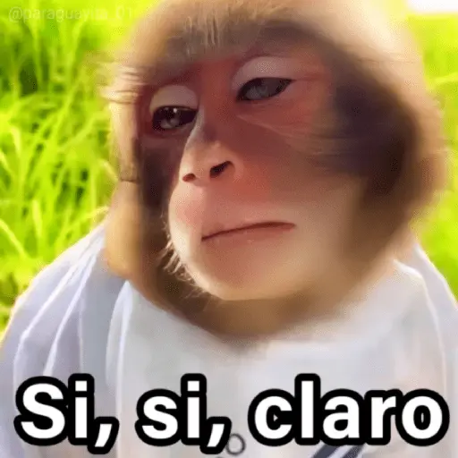 🐵🌴🙊 MONOS 🙊🌴🐵