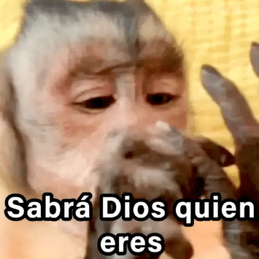 🐵🌴🙊 MONOS 🙊🌴🐵