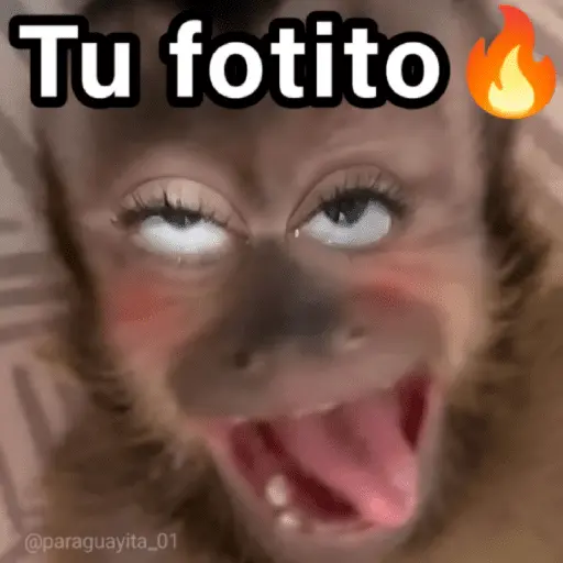 🐵🌴🙊 MONOS 🙊🌴🐵