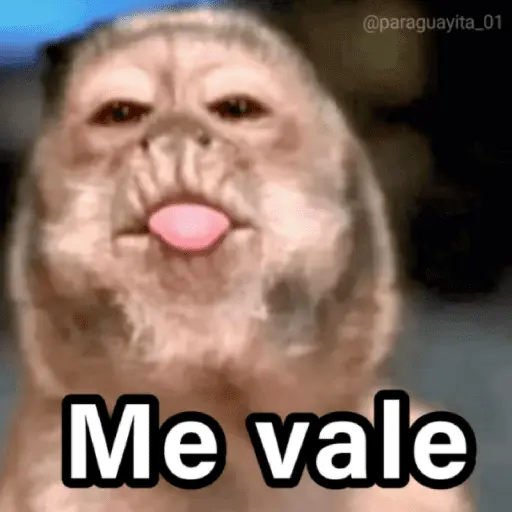 🐵🌴🙊 MONOS 🙊🌴🐵