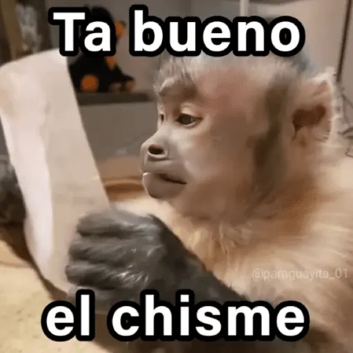🐵🌴🙊 MONOS 🙊🌴🐵