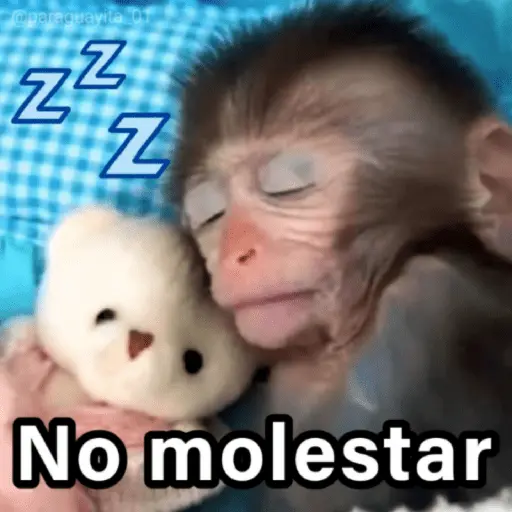 🐵🌴🙊 MONOS 🙊🌴🐵