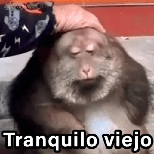🐵🌴🙊 MONOS 🙊🌴🐵