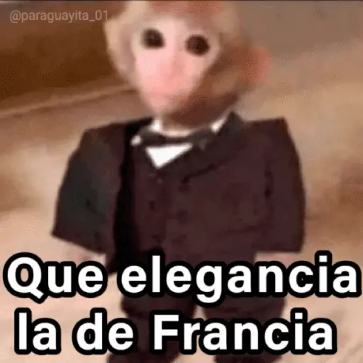 🐵🌴🙊 MONOS 🙊🌴🐵