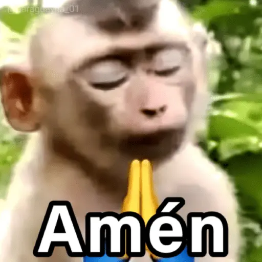 🐵🌴🙊 MONOS 🙊🌴🐵