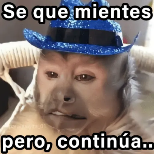 🐵🌴🙊 MONOS 🙊🌴🐵