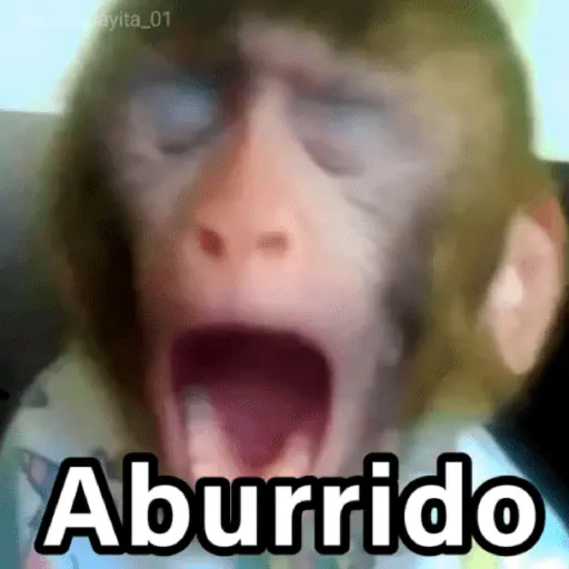 🐵🌴🙊 MONOS 🙊🌴🐵