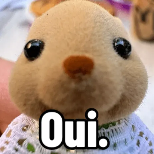Ternurines en francés 