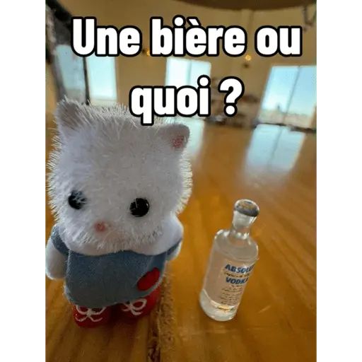 Ternurines en francés 