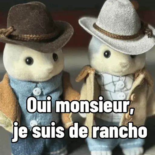 Ternurines en francés 