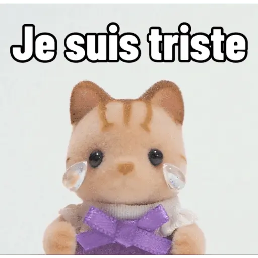 Ternurines en francés 