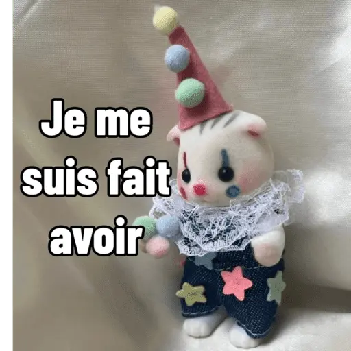 Ternurines en francés 
