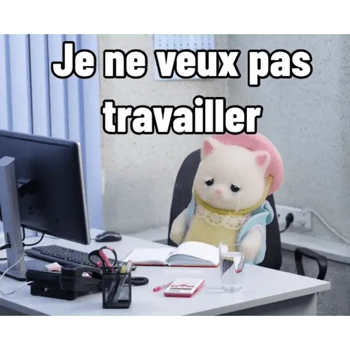 Ternurines en francés 