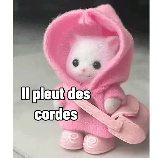 Ternurines en francés 