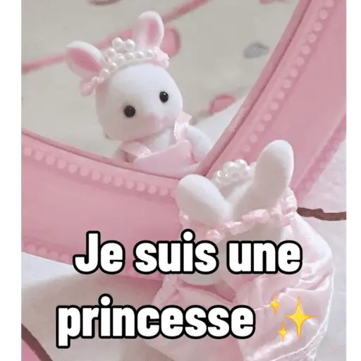 Ternurines en francés 