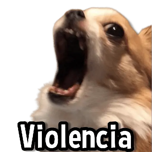 Memes Más Usados #3😎