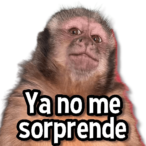 Memes Más Usados #3😎 preview