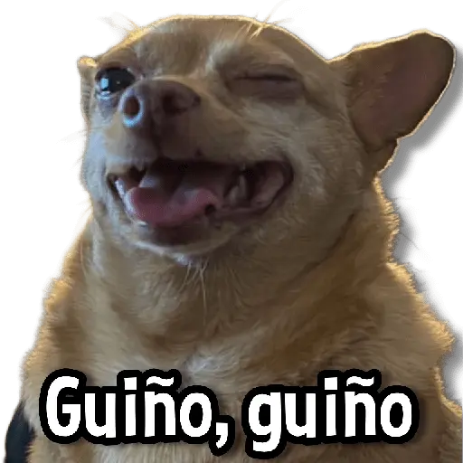 Memes Más Usados #3😎