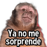 Memes Más Usados #3😎