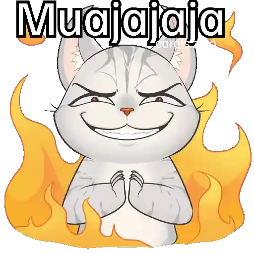 Gato frases para contestar🐈‍⬛💬