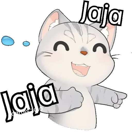 Gato frases para contestar🐈‍⬛💬 preview