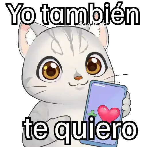 Gato frases para contestar🐈‍⬛💬